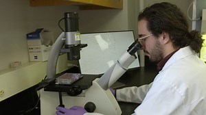 In Vitro Scratch Assay to Demonstrate Effects of Arsenic on Skin Cell Migration