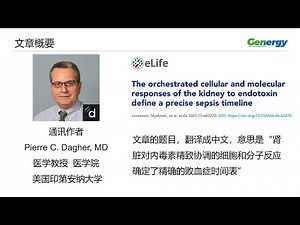 【陈巍学基因】第81期：肾脏对内毒素精致协调的细胞和分子反应确定了精确的败血症时间表