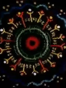 Stream Split (2000): Find it on Netflix, Prime Video, Hulu & more