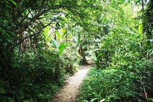 Karte von Khao Lak: Die besten Sehenswürdigkeiten auf interaktiven Karte