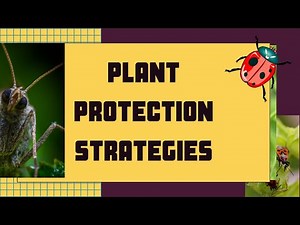 Plant Protection Strategies
