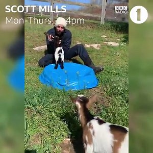 One thing you never thought you'd see in self isolation... All Time Low's Alex Gaskarth singing to his goats 🐐🎶 He's bored (and famous), so delivered this treat for Scott Mills and Chris Stark 👇😂 | BBC Radio 1