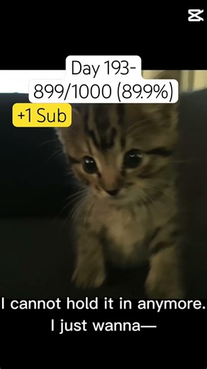 cmon vaminos, everybody subscribe