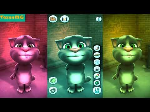 Mèo Tôm Nghịch Ngợm - Talking Tom Cat Gameplay Review