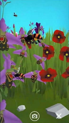 A Co-evolution Love Story - Explore Pollination - Cell to Singularity