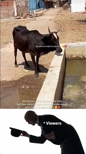 Cows Were Thirsty… So We Built Them This 💧🐄❤️#shorts