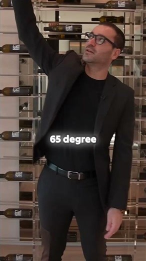 This Wine Cellar Uses Fingerprint Access 🤯 | Luxury Home Tour,