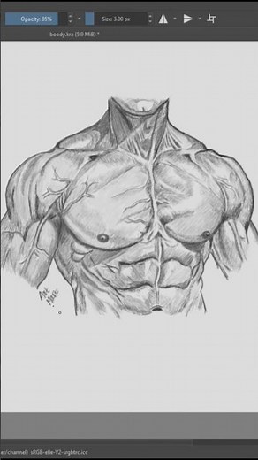 How to Draw Realistic Abs and Chest Muscles 💪 #shorts #shortsfeed #drawing #abstractart #art