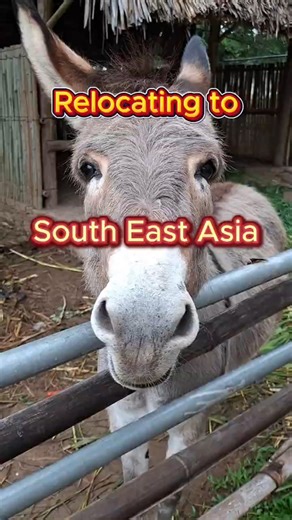 I left London and moved to South East Asia #vlog #travel #newlife