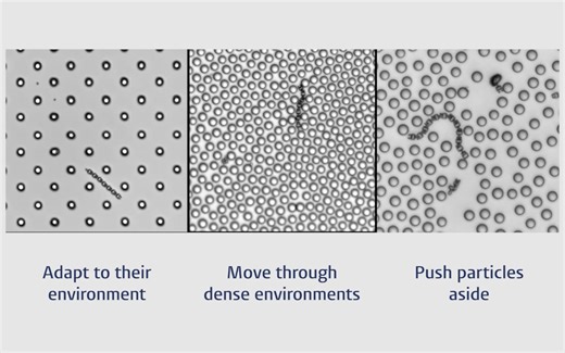 Leiden University researchers 3D print brainless microrobots that navigate like living organisms