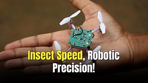 Tiny flapping drone matches insect speed with an AI brain