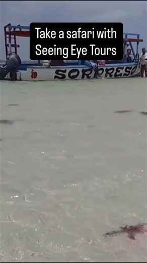 Caren Issack on Instagram: "#seeingeyetours #tanzania #safari #tia #tours"
