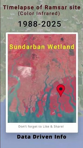 INVISIBLE CRISIS: Vegetation Health Exposed in Infrared