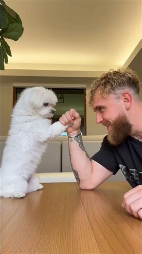 Arm wrestling with Jake Paul