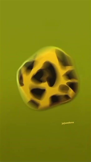 tengo una re flojera para hacer la marca de agua...|app - Funimate pro | dt: ellas 💗