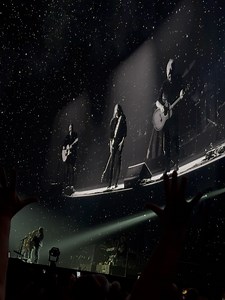 Brian Senesac on Reels