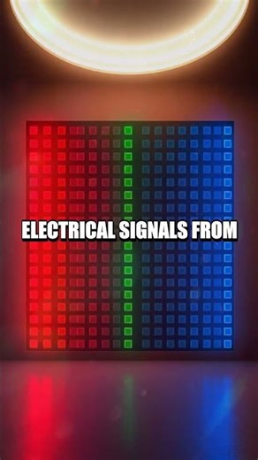 How LCD Screens Actually Show Color