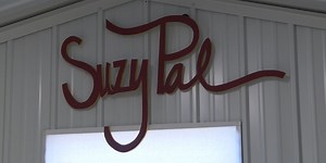 Plains artist makes colorful splash with her art