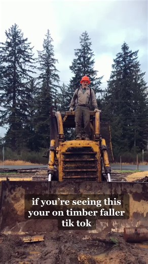 Timber Faller Tik Tok
