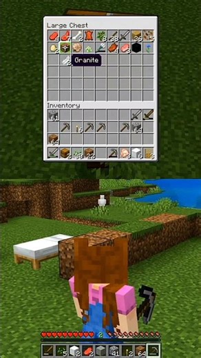 when a chicken poops on your Sister's bed 🤣 #minecraft #gaming #nintendo #nintendoswitch #coop