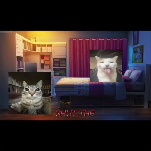 OHH YEAHH! #cat #memes #memesdaily #funny #bome