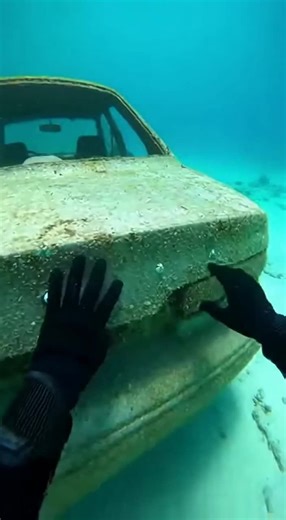 car suprise for you... #scary #scubadiving #underwater #shark
