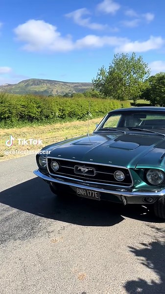 1967 Ford Mustang Fastback 🔊 #RetroClassicCar #FordMustang #Mustangs #Mustang #ClassicCars #AmericanClassicCars