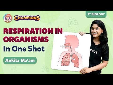 Respiration in Organisms Class 7 Science (Biology) in One Shot | BYJU'S - Class 7