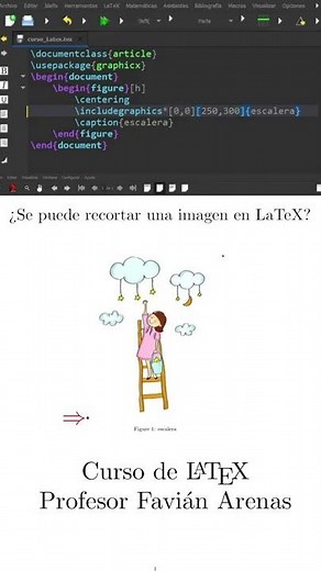 ¿Cómo recortar una imagen en LaTeX?