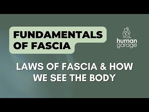 What is Fascia? Learn the fundamentals of how we see the body & how it moves.
