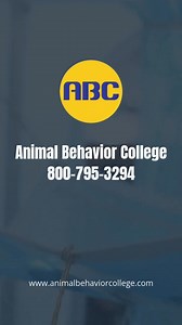 #ABC #Animalbehaviorcollege | Animal Behavior College | Facebook
