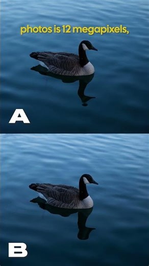 12 VS. 102 Megapixels: Can You Spot The Difference? #shorts