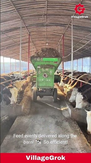 Automated Cattle Feeding: Efficient Feed Distribution in a Barn