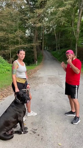 TIPS 🙏 Tag someone who need see this 🙏 If you don’t know how to make your dog listen to you or you want your dog to stop barking uncontrollably, digging and jumping up all the time within a couple of weeks?? Join “Brain Training For Dogs” ➡️➡️ Link in my bio @dogtraining_68 - To understand dogs, you have to understand canine body language. - Educating an unruly pet dog can feel like a complicated task, but all it takes is a bit of knowledge and also some patience. Credit for DM or Removal no c