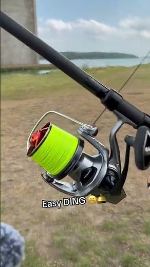 Easy DING 🛎️ #carpfishing #casting #surfcasting DDAWNG Fishing