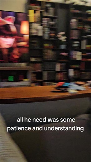 Cuddle Time with Cats: A Heartwarming Moment