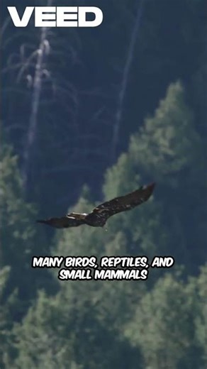 Why Cockroaches Actually Matter 🪳