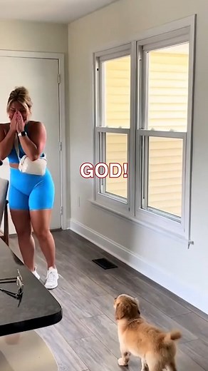 Woman surprised with her 'dream dog' for her birthday🐶 #cuteanimals #funnyanimals #goldenretrievers #dogs #birthday #surprises #couple #couplegoals | Daily Mail Animals