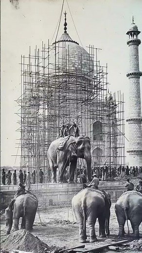Construction of Taj Mahal. #facts #viral #100k #history #india #mughal