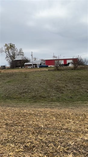 Moving fields and moving bushels in style today with my favorite semi #hffarms #iowacorn #harvest25 | Hartung Family Farms