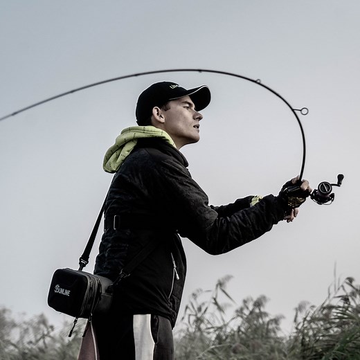 Black Swan - Favorite Fishing