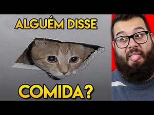 Os MEMES de animais mais engraçados da internet