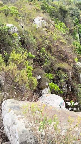 Discover the Beauty of Credo Mutwa Village