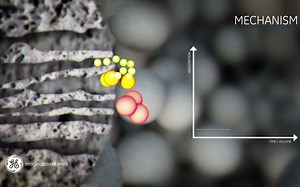Principles of Gel filtration chromatography 凝胶层析技术