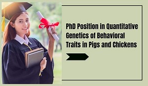 PhD Position in Quantitative Genetics of Behavioral Traits in Pigs and Chickens, Netherlands