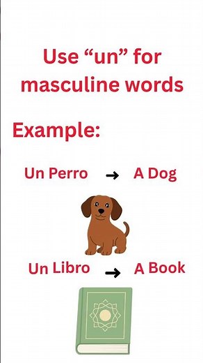 Learn Spanish Articles: Un vs Una (for beginners)