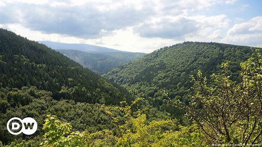 Germany: National park on former death strip