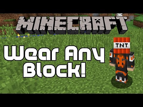 How to Put Any Block on Your Head in Minecraft
