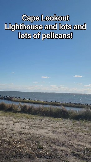 1.8K views · 79 reactions | Pelicans and the Cape Lookout Lighthouse. Beautiful but chilly today! Cape Lookout National Seashore #lighthouse #capelookout #pelicans | Why Beaufort NC | Facebook