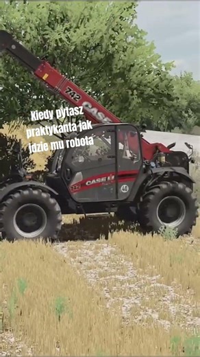 to skurczybyk #fs22 #dc #zetor #fyp